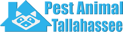 Tallahassee Wildlife and Animal Removal